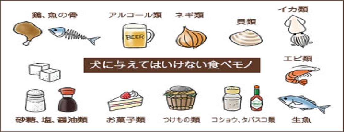 イメージ1